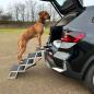 Preview: Aluminium Falt-Treppe, Hundetreppe von Nobby  - Hunderampe - Einstiegshilfe für Hunde ins Auto - bis 75 kg